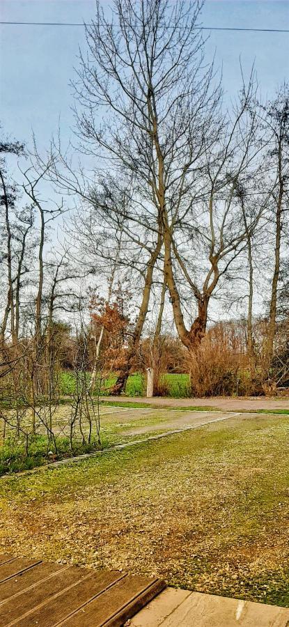 B & B Victors Hof, Met Zwemvijver In Landelijke Setting Lievegem Exterior foto